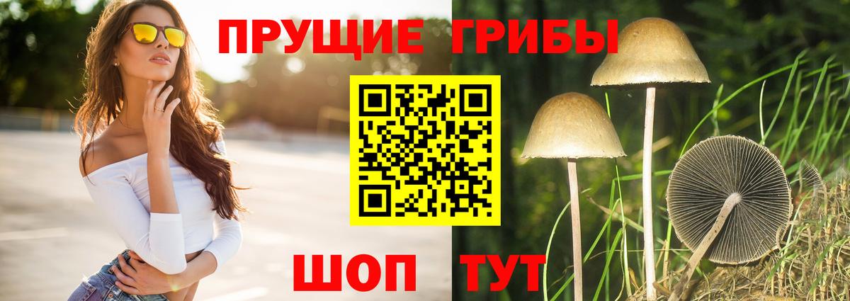 Галлюциногенные грибы Psilocybe  Вход с VPN  Кузнецк 