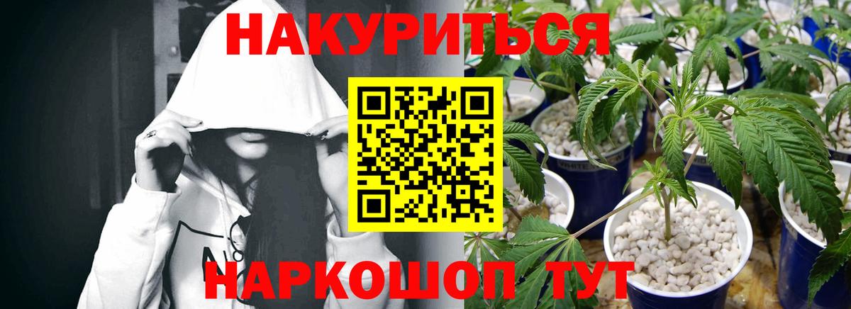Шишки марихуана сатива  Каннабис White Widow  Вход с VPN  Бошки Шишки семена  Кузнецк  Бошки Шишки Ganja 